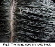 240222135843_Hair-Dyed with indigo-s.jpg